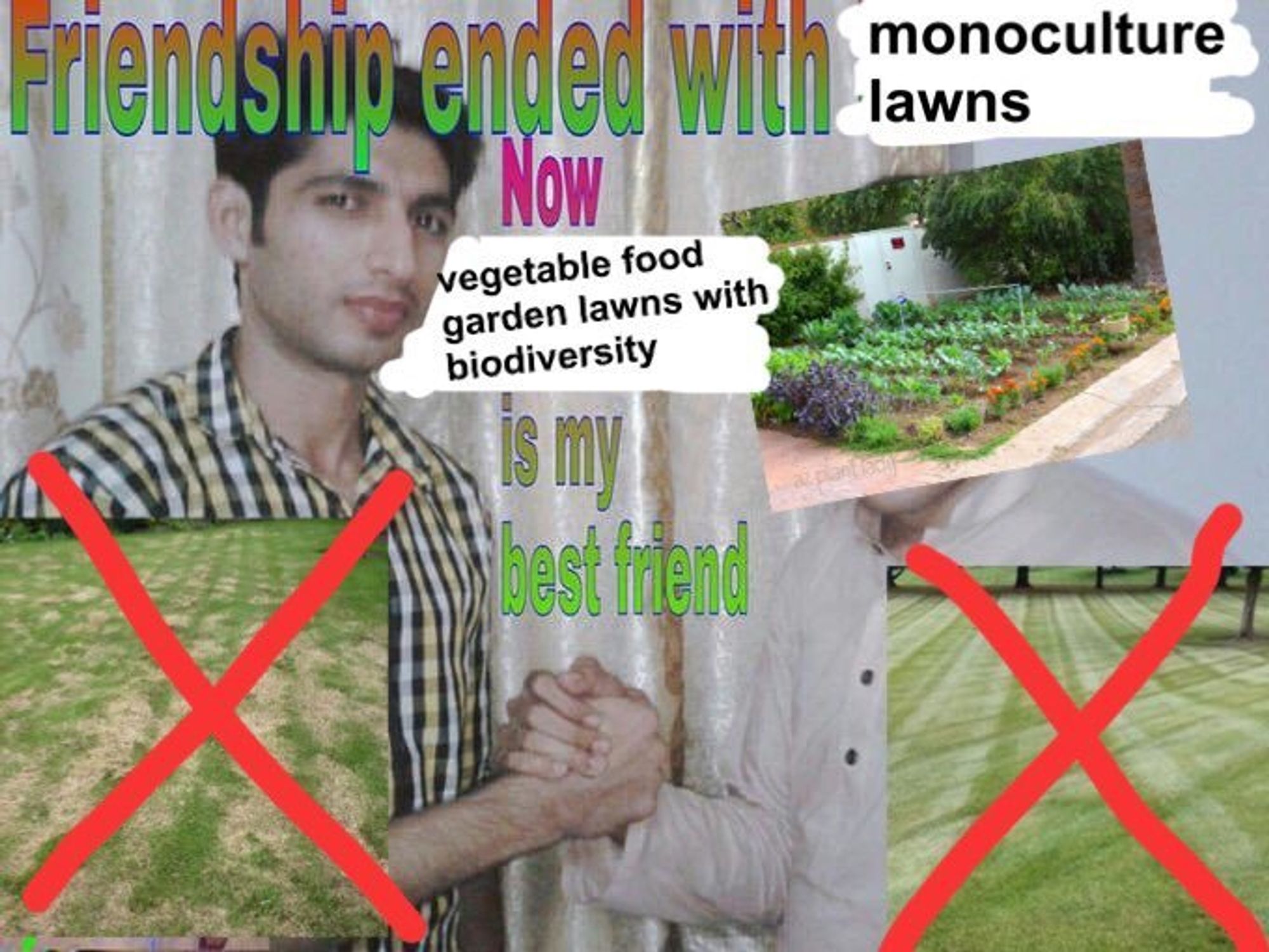 A variant of the 'friendship ended with' meme. Friendship ended with monoculture lawns, now vegetable food garden lawns with biodiversity is my best friend.